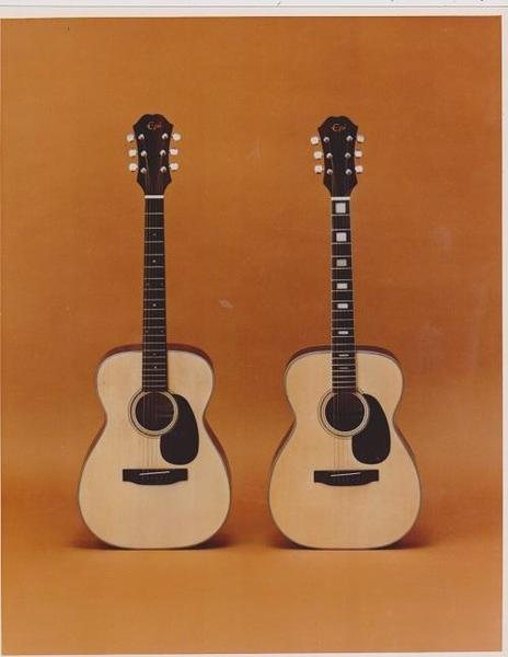 EPIPHONE ACOUSTICS AND EPIPHONE ELECTRICS SALES SAMPLE PHOTO CATALOG - 1979