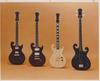 EPIPHONE ACOUSTICS AND EPIPHONE ELECTRICS SALES SAMPLE PHOTO CATALOG - 1979