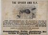 THE SPIDER AND FLY – UNRECORDED TEMPERANCE BROADSIDE